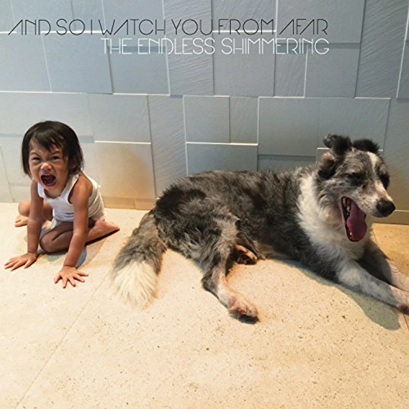 And So I Watch You from Afar ENDLESS SHIMMERING CD