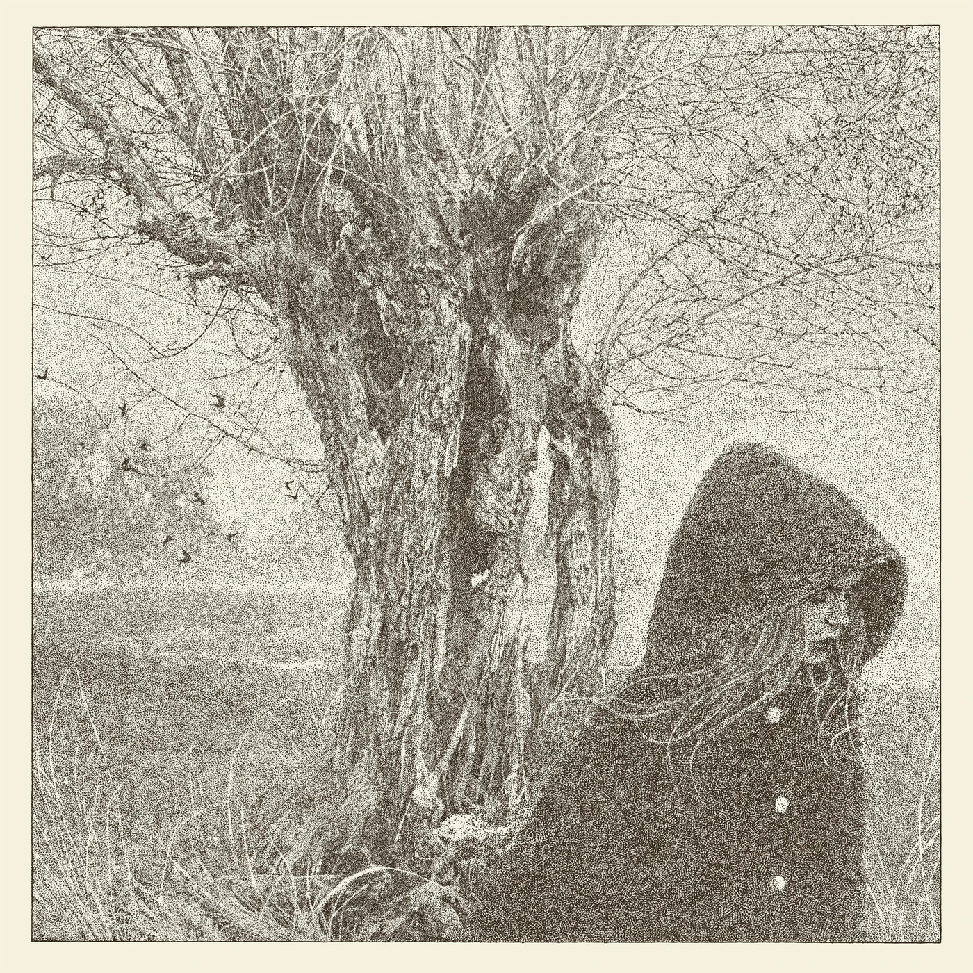 Lankum BETWEEN THE EARTH AND SKY CD