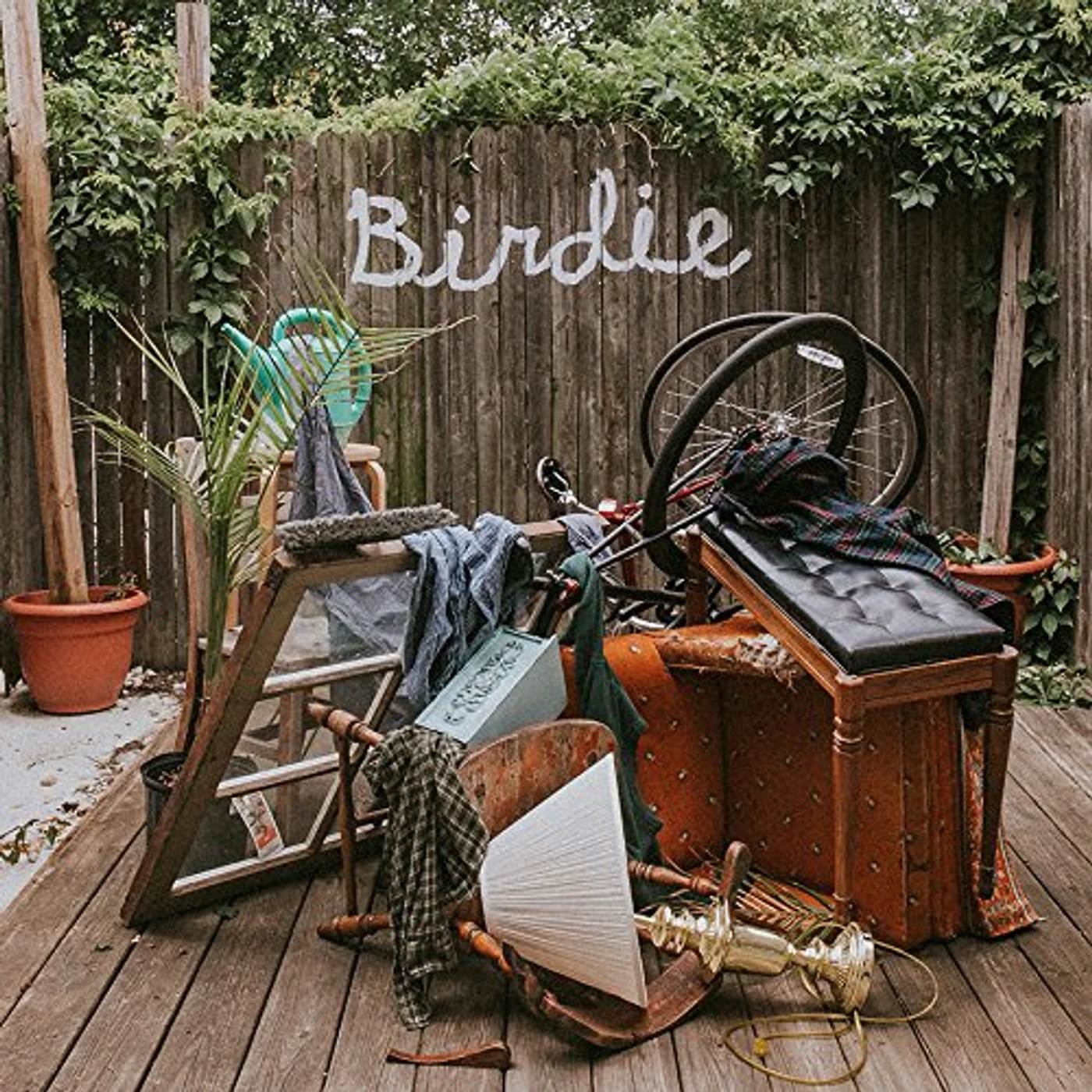 Slaughter Beach, Dog BIRDIE CD