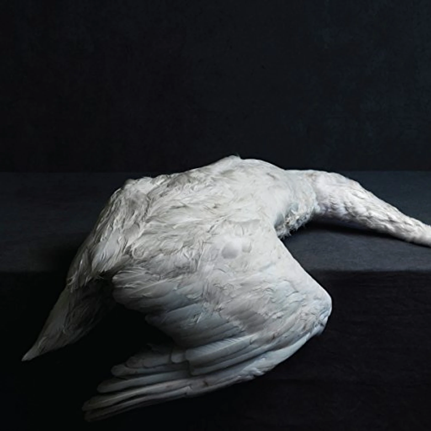 Amenra MASS VI CD