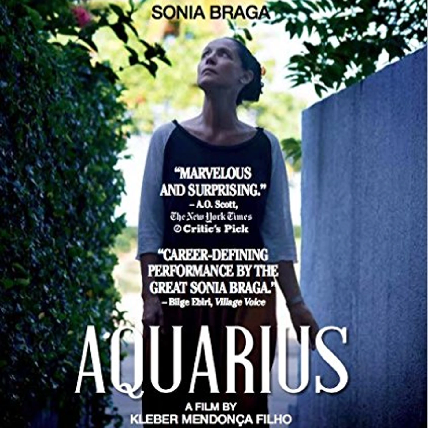 Aquarius (2016) Blu-ray