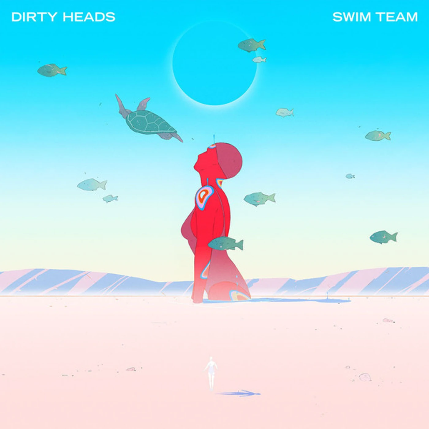 Dirty Heads SWIM TEAM Vinyl Record