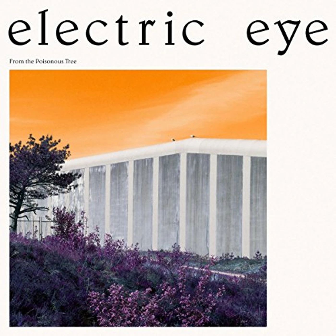 Electric Eye From the Poisonous Tree Vinyl Record