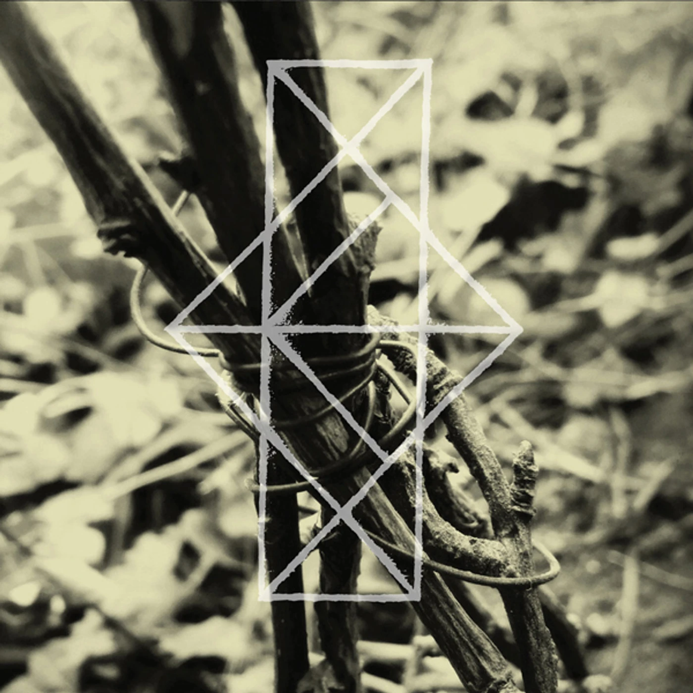 Common Eider, King Eider SHRINES FOR THE UNWANTED / RESPITE FOR THE CAST CD