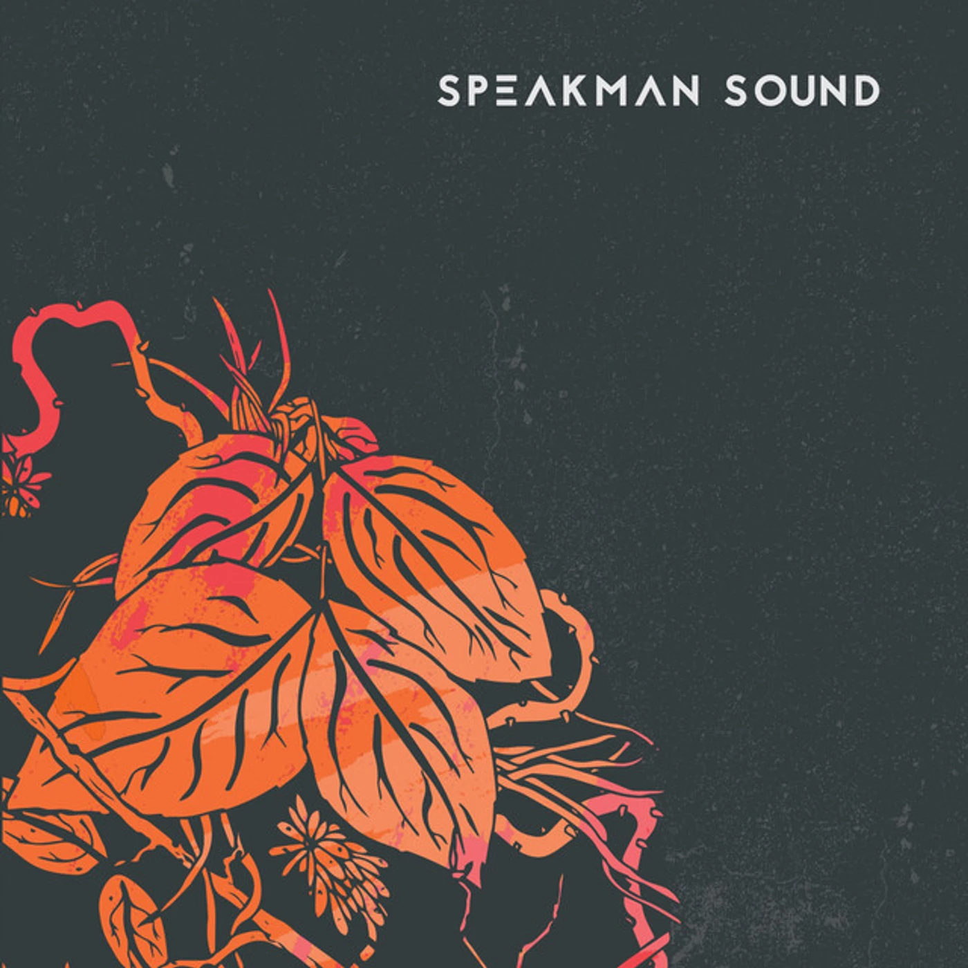 Speakman Sound Warm Vinyl Record