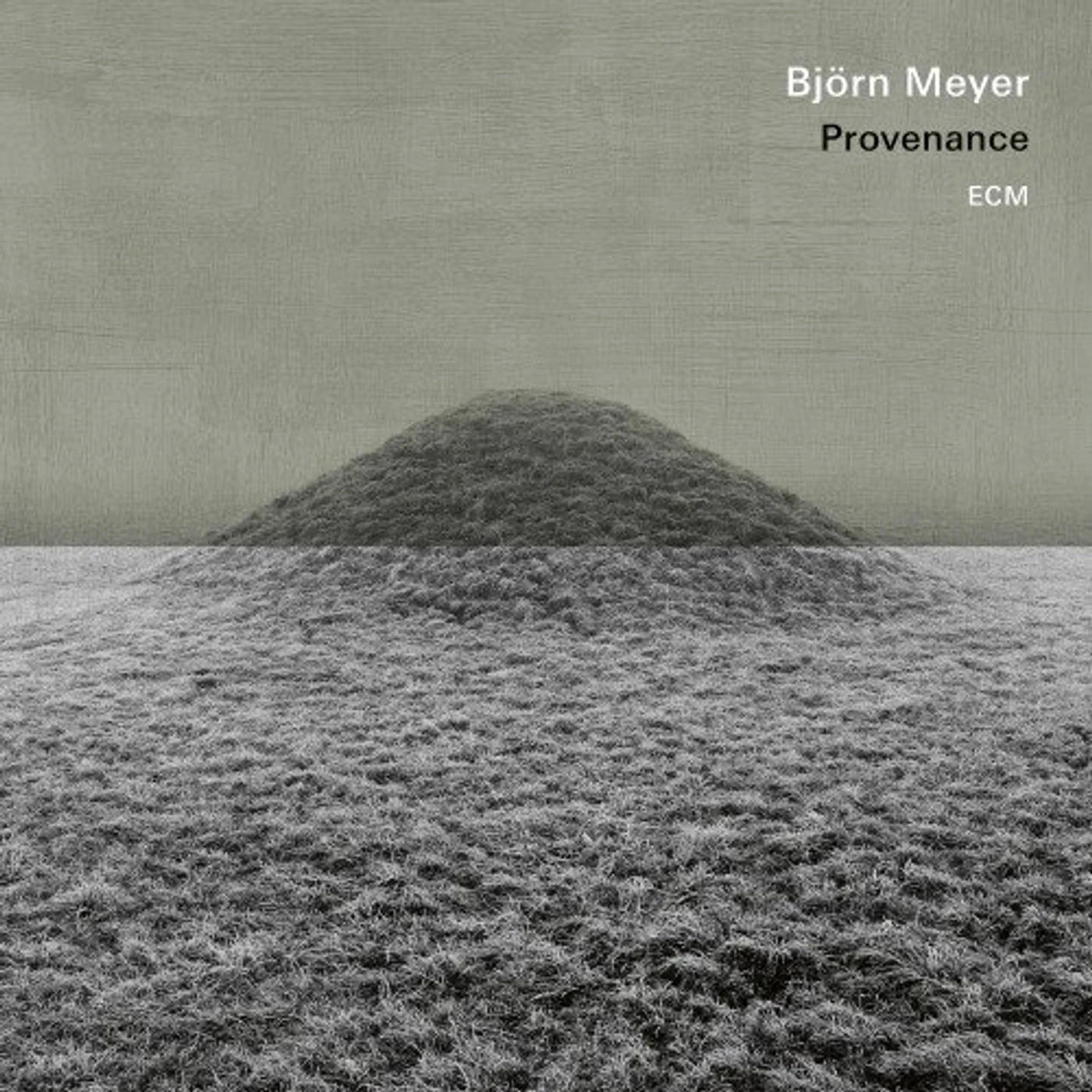 Björn Meyer Provenance Vinyl Record