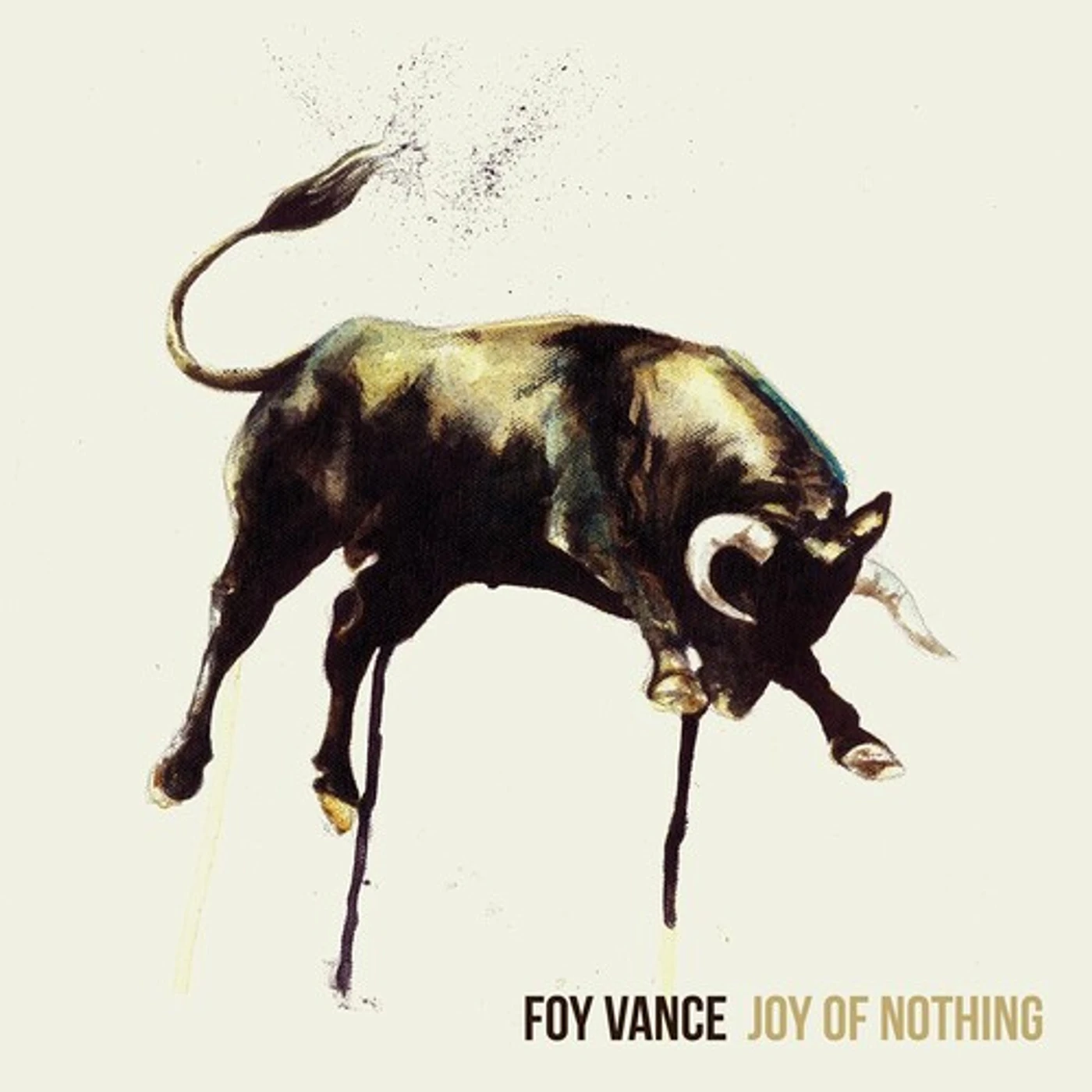 Foy Vance JOY OF NOTHING Vinyl Record