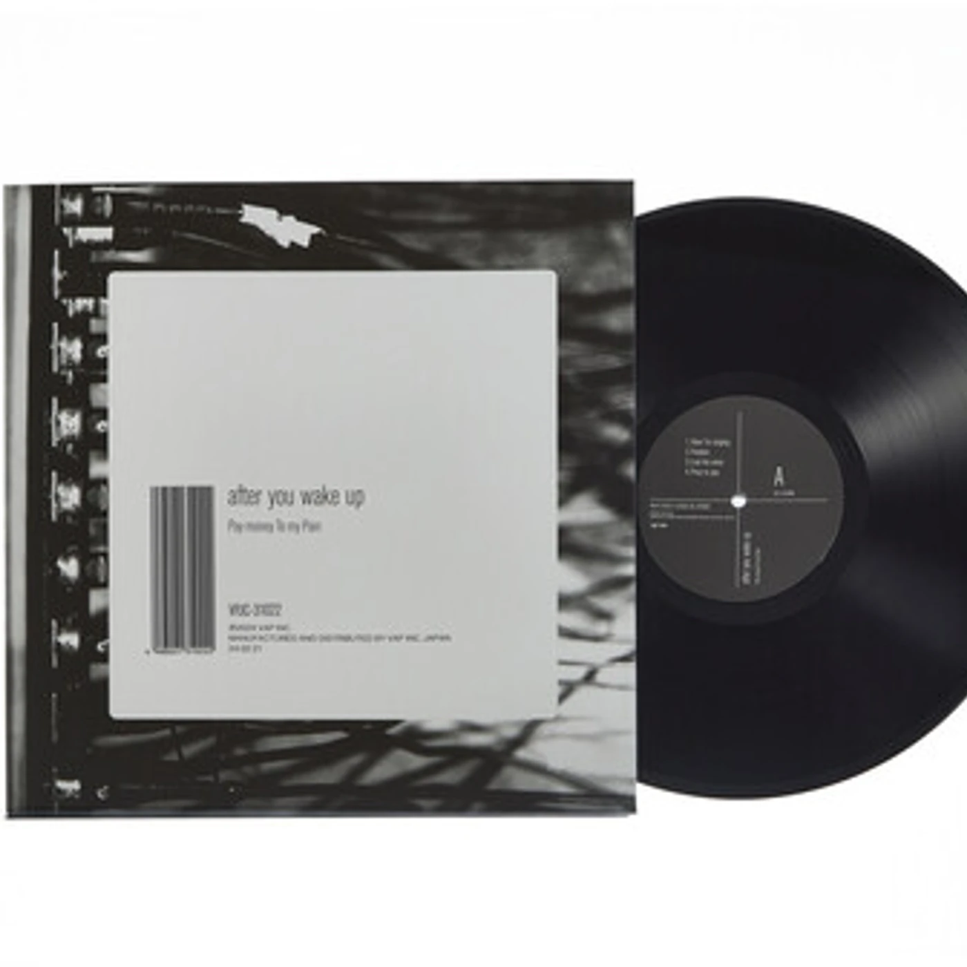 Pay money To my Pain AFTER YOU WAKE UP Vinyl Record