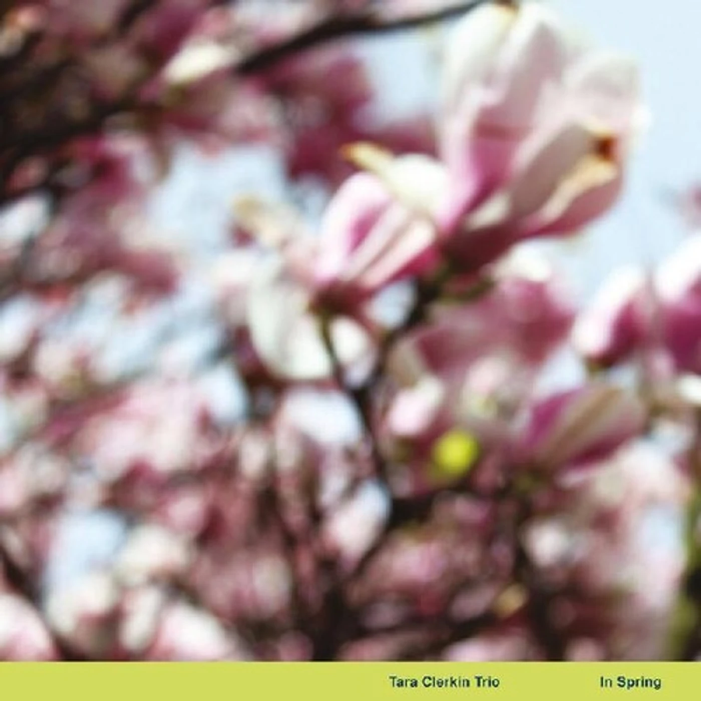 Tara Clerkin Trio In Spring Vinyl Record