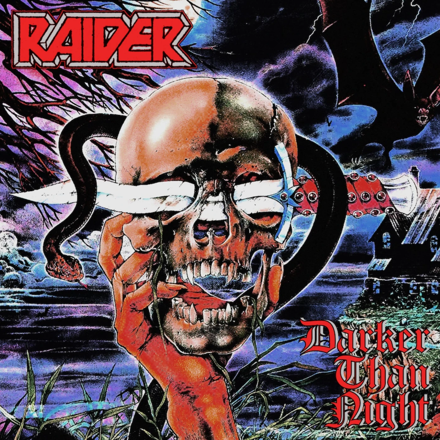 Raider DARKER THAN NIGHT Vinyl Record