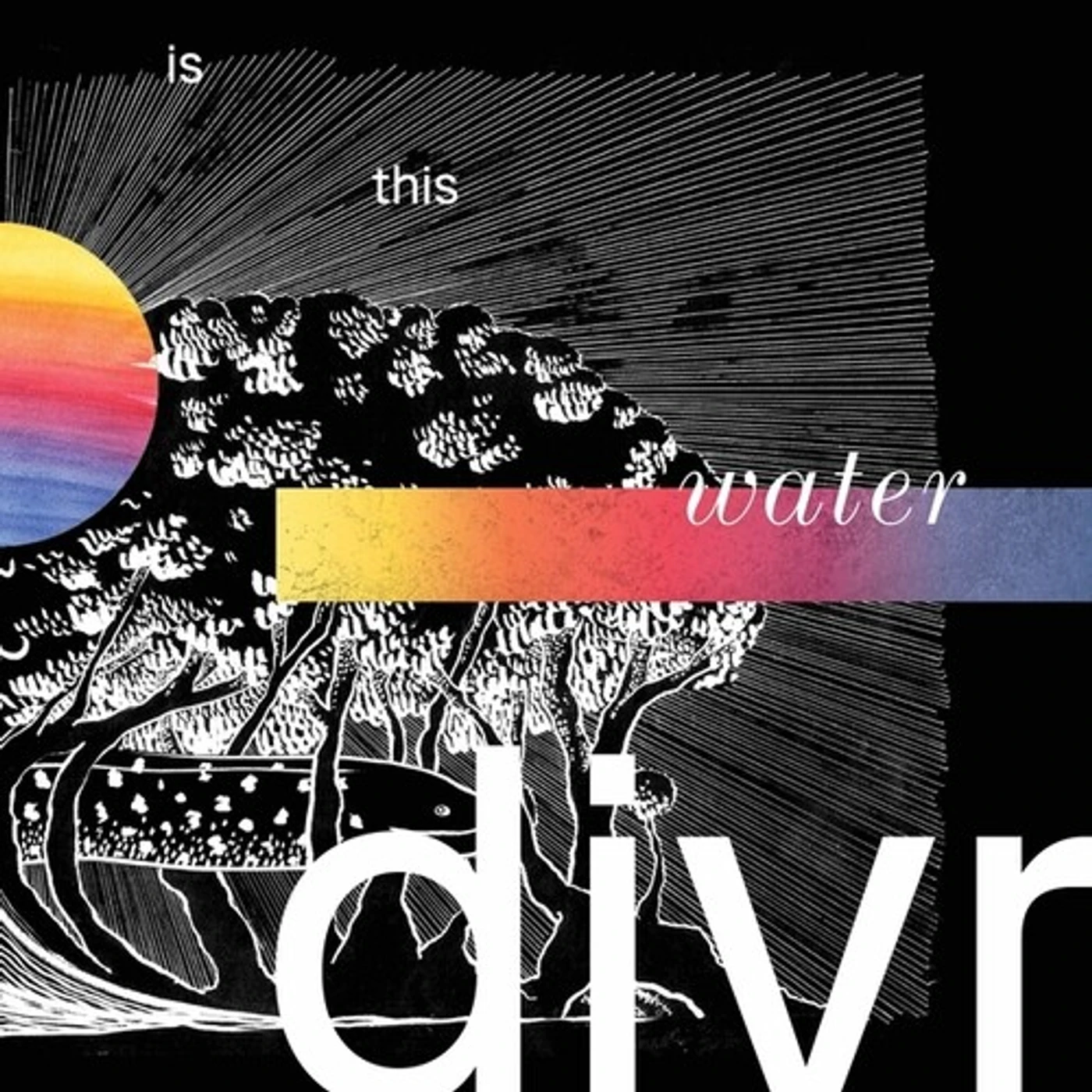 divr IS THIS WATER Vinyl Record