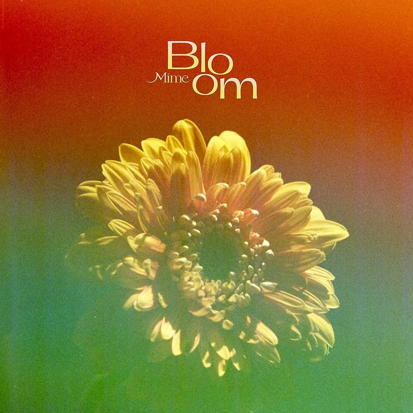 Mime BLOOM Vinyl Record
