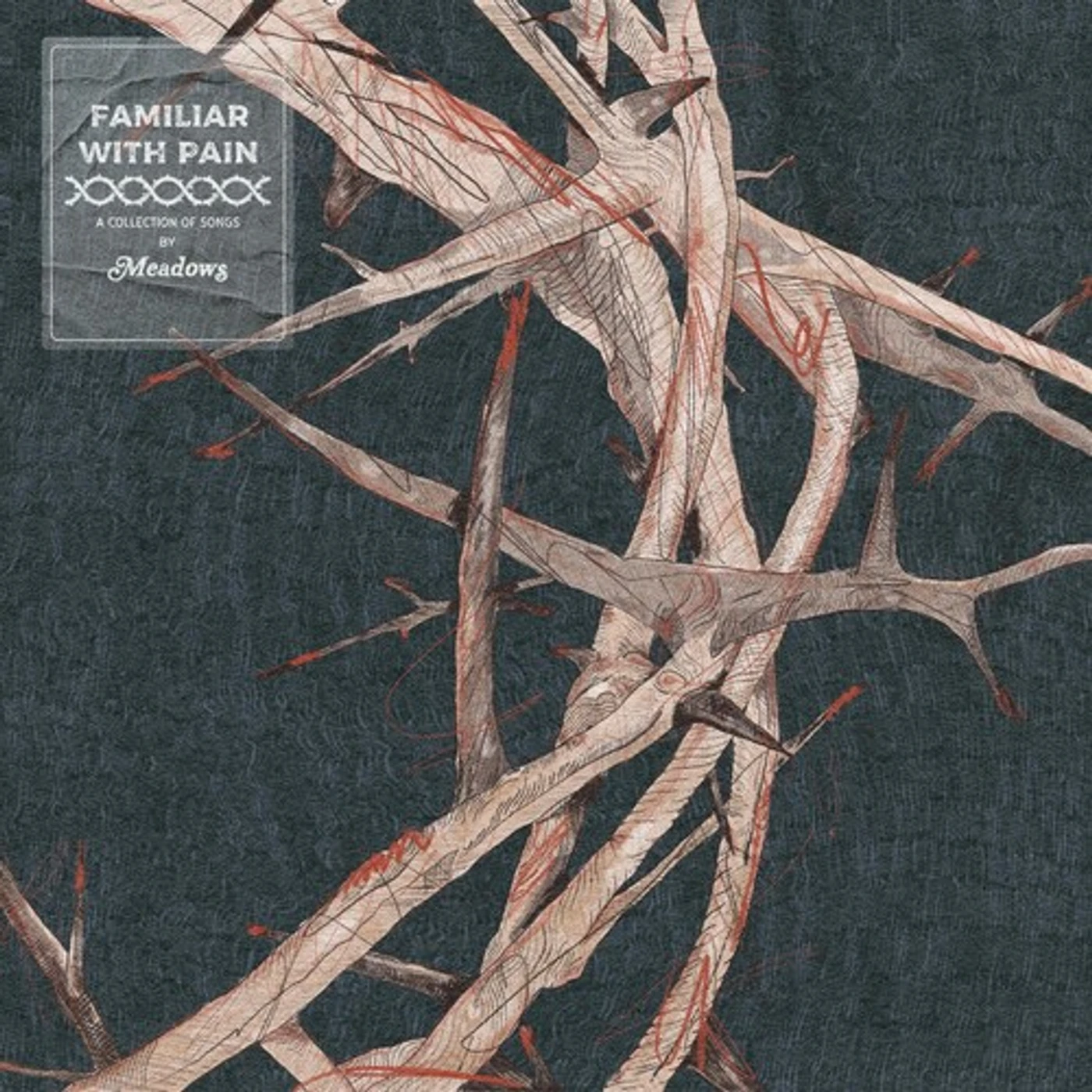 Meadows FAMILIAR WITH PAIN CD