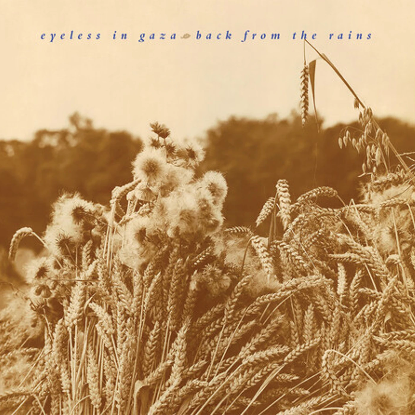 Eyeless In Gaza BACK FROM THE RAINS (2024 REMASTERED & EXPANDED) CD