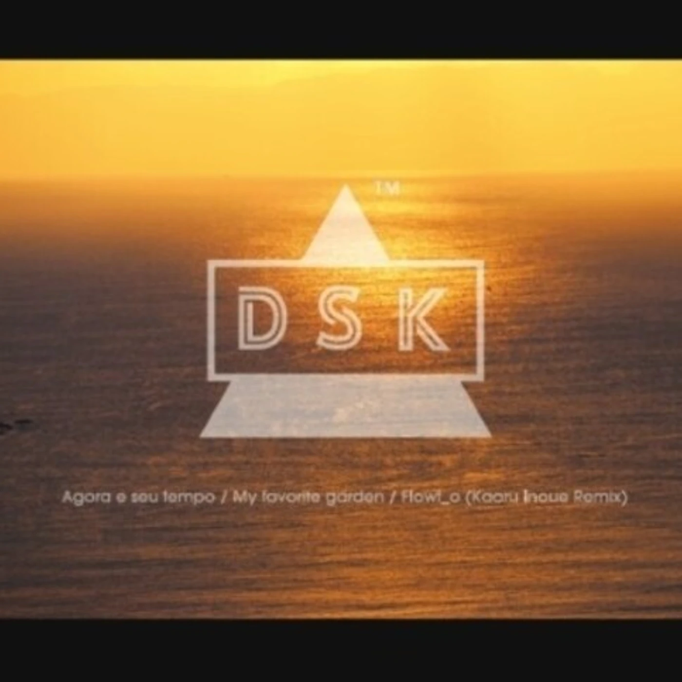 DSK AGORA E SEU TEMPO / FLOWT O (KAORU INOUE REMIX) Vinyl Record