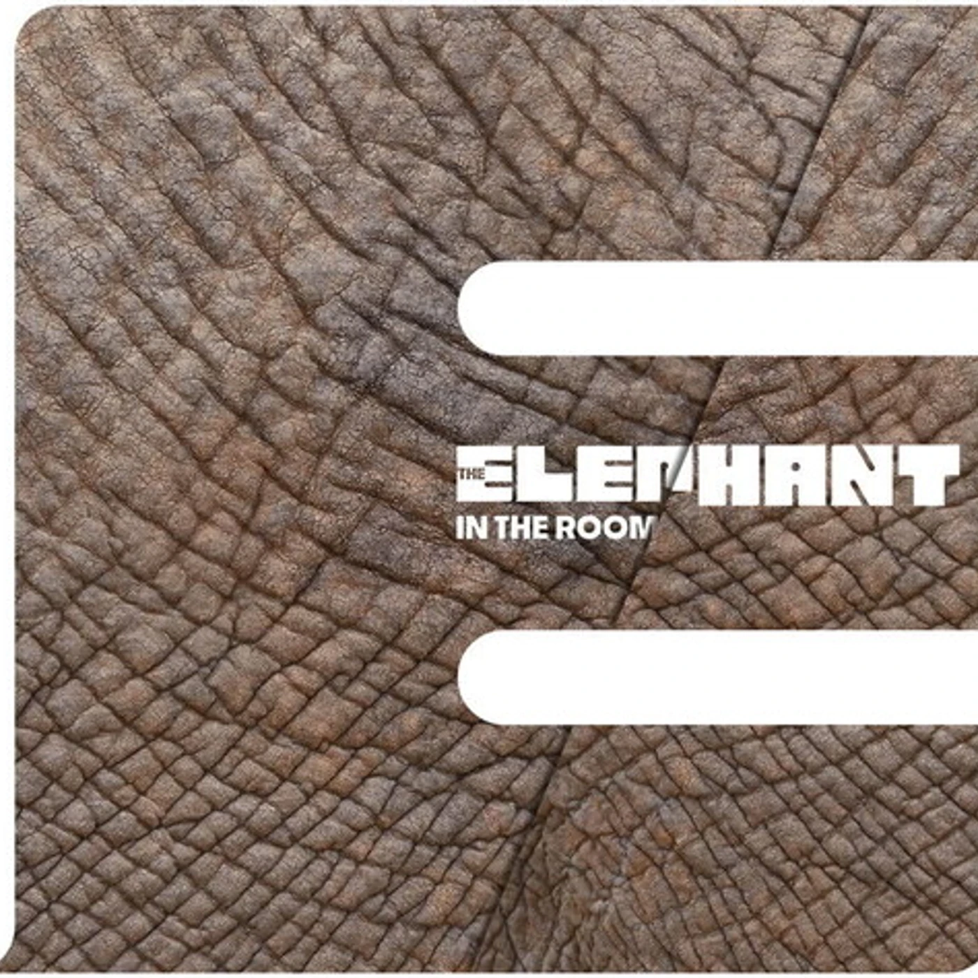 Elephant In The Room Vinyl Record
