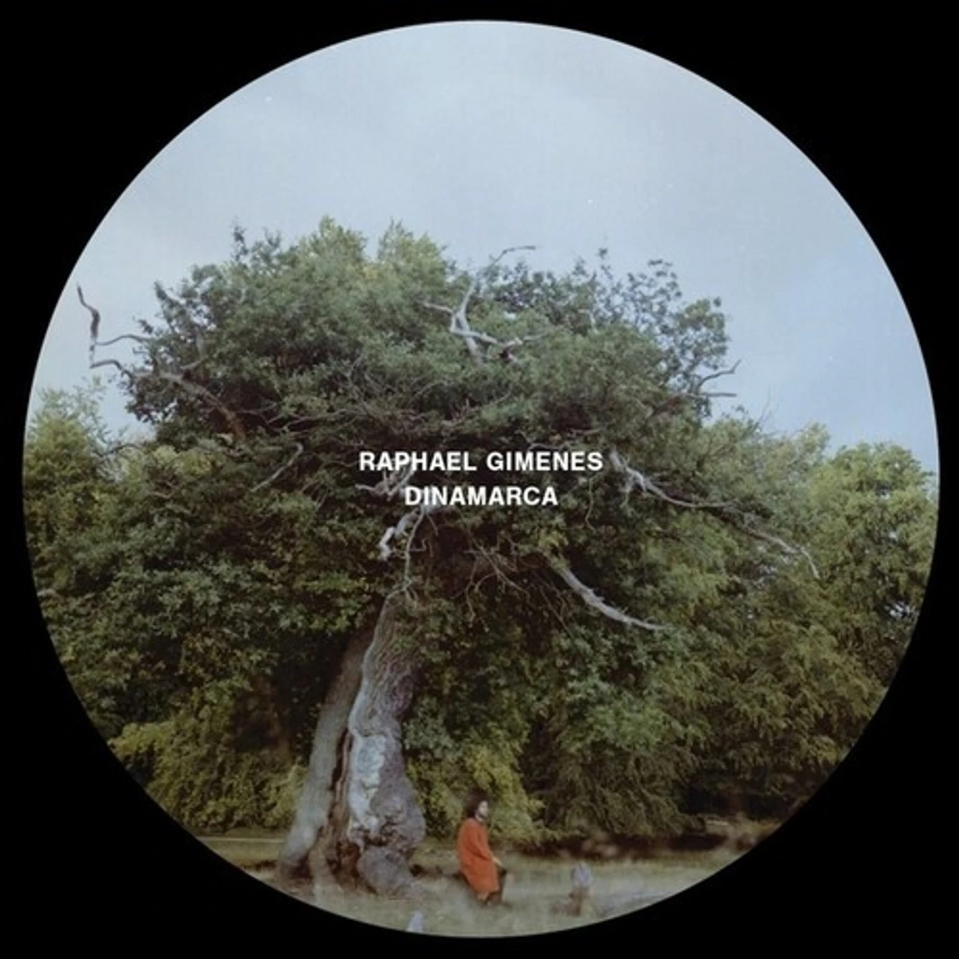 Raphael Gimenes Dinamarca Vinyl Record