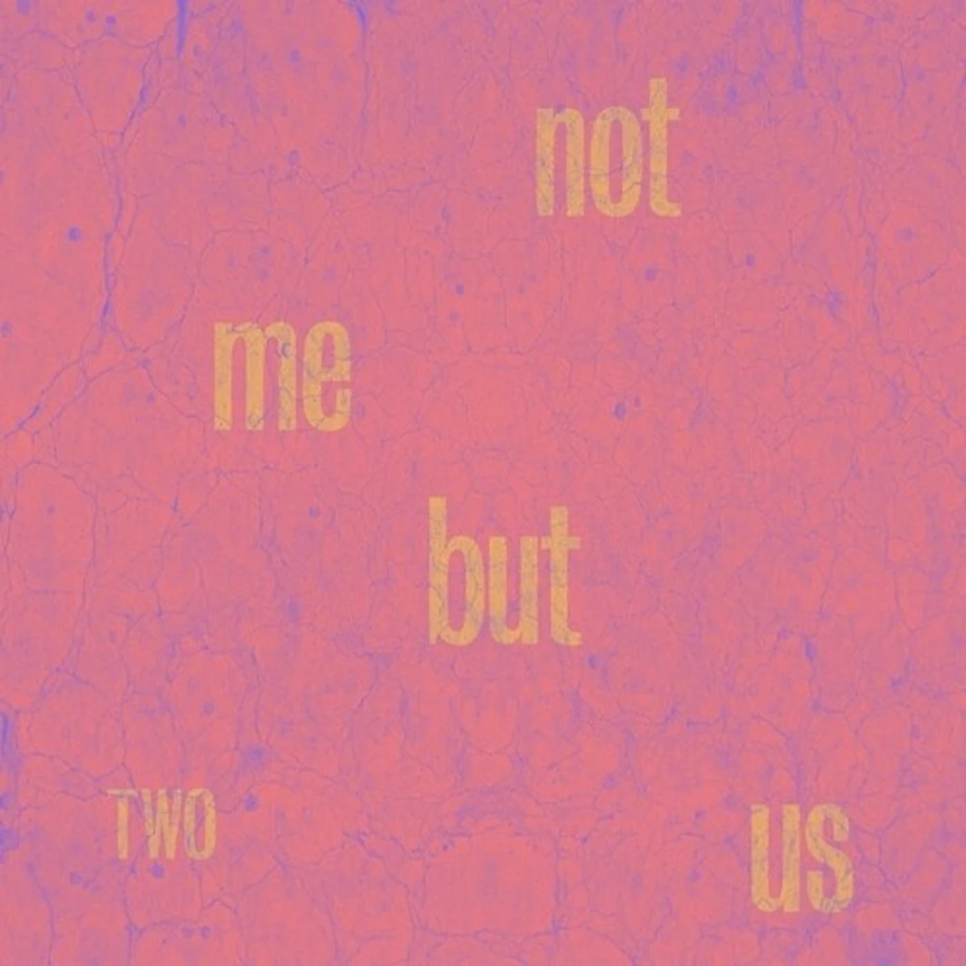 Not Me But Us Two Vinyl Record