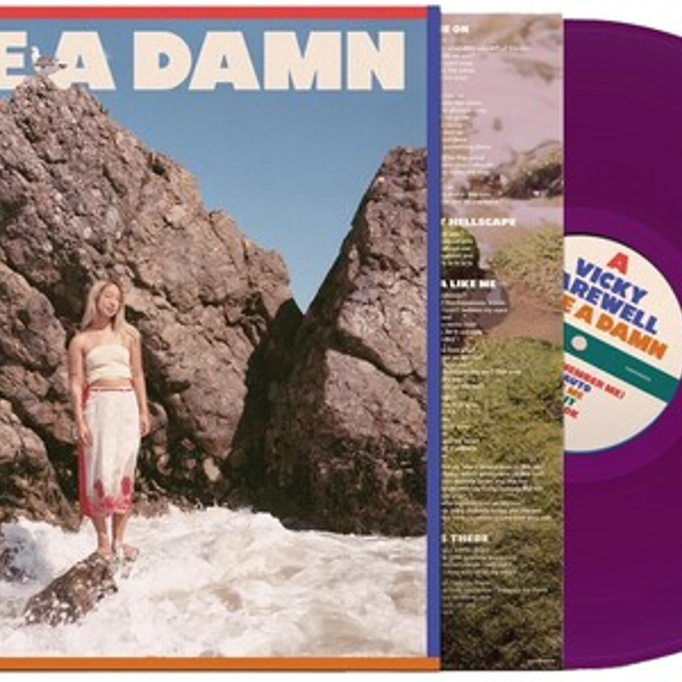 Vicky Farewell GIVE A DAMN Vinyl Record