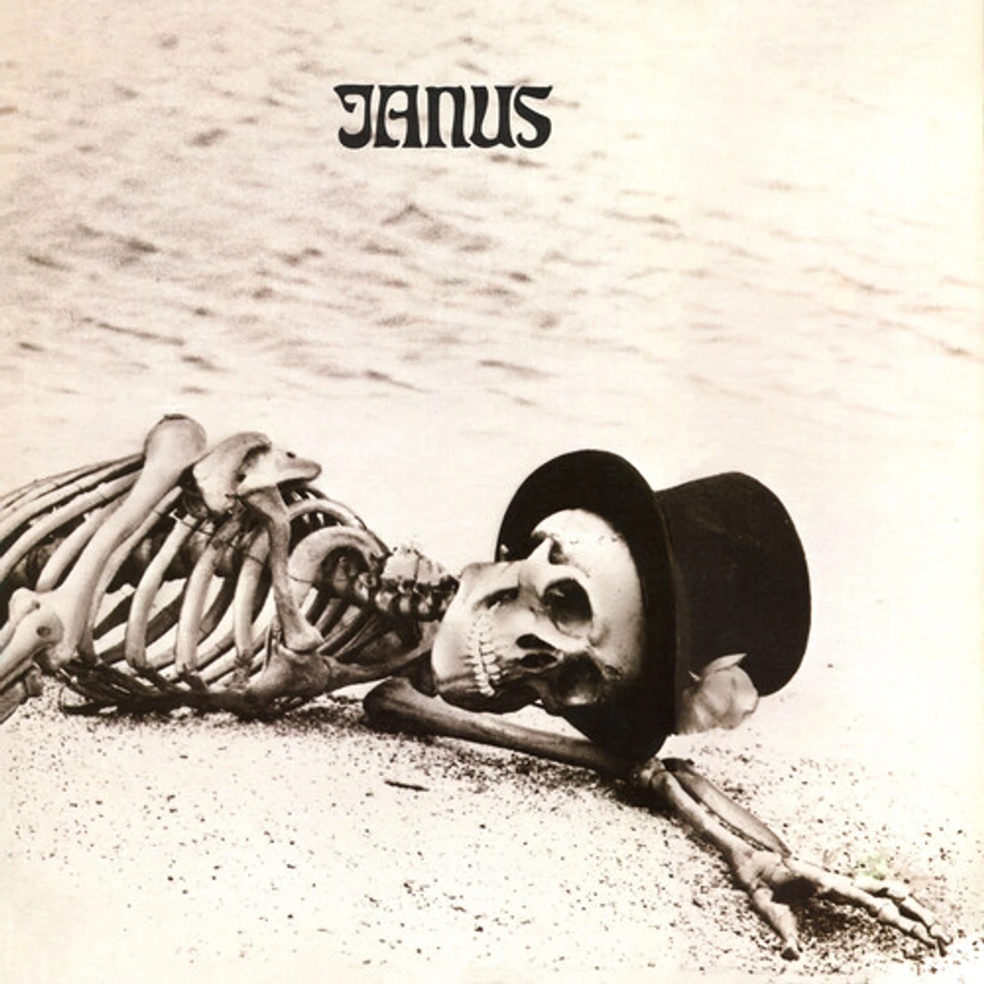 Janus GRAVEDIGGER Vinyl Record