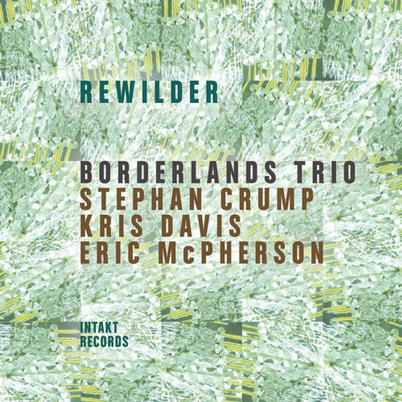 Borderlands Trio REWILDER CD