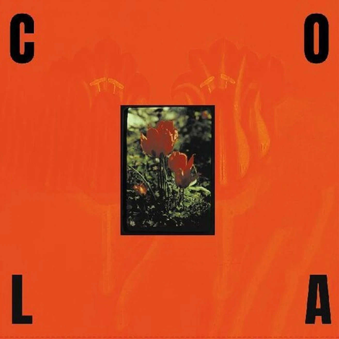 Cola Gloss Vinyl Record