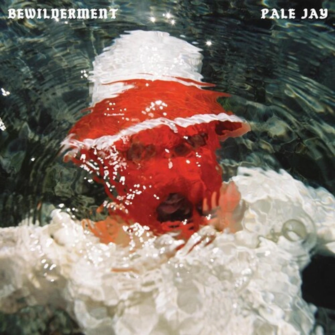 Pale Jay BEWILDERMENT Vinyl Record