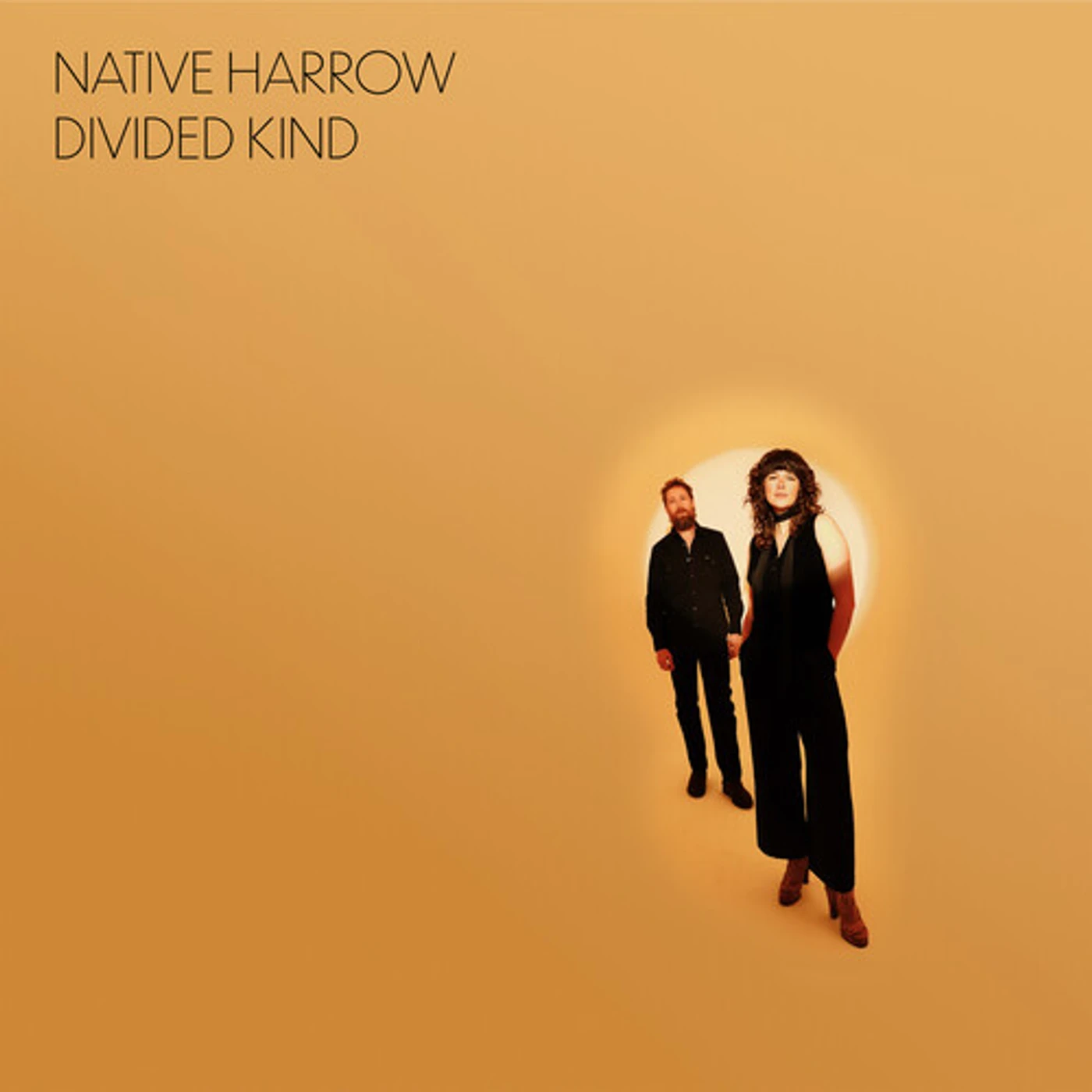 Native Harrow DIVIDED KIND Vinyl Record