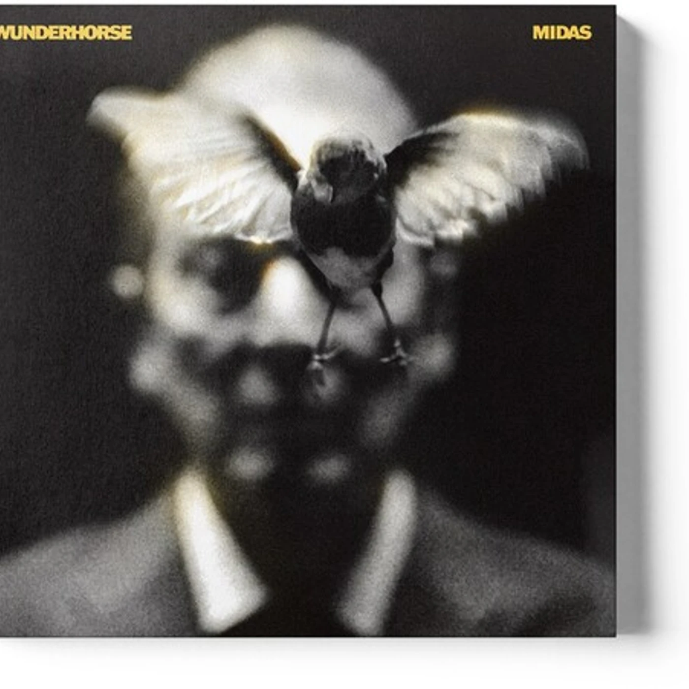 Wunderhorse MIDAS CD