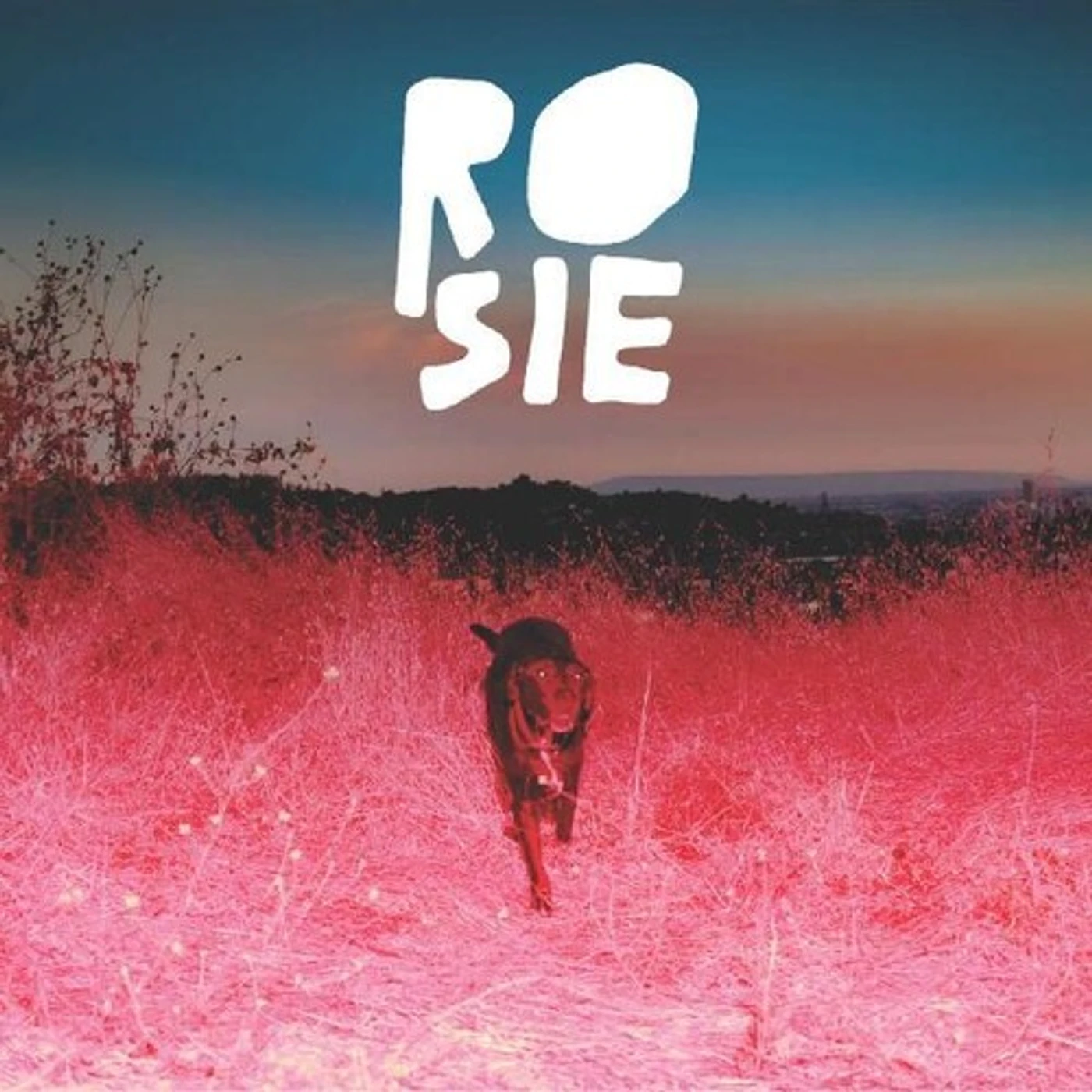 Kaycie Satterfield ROSIE Vinyl Record