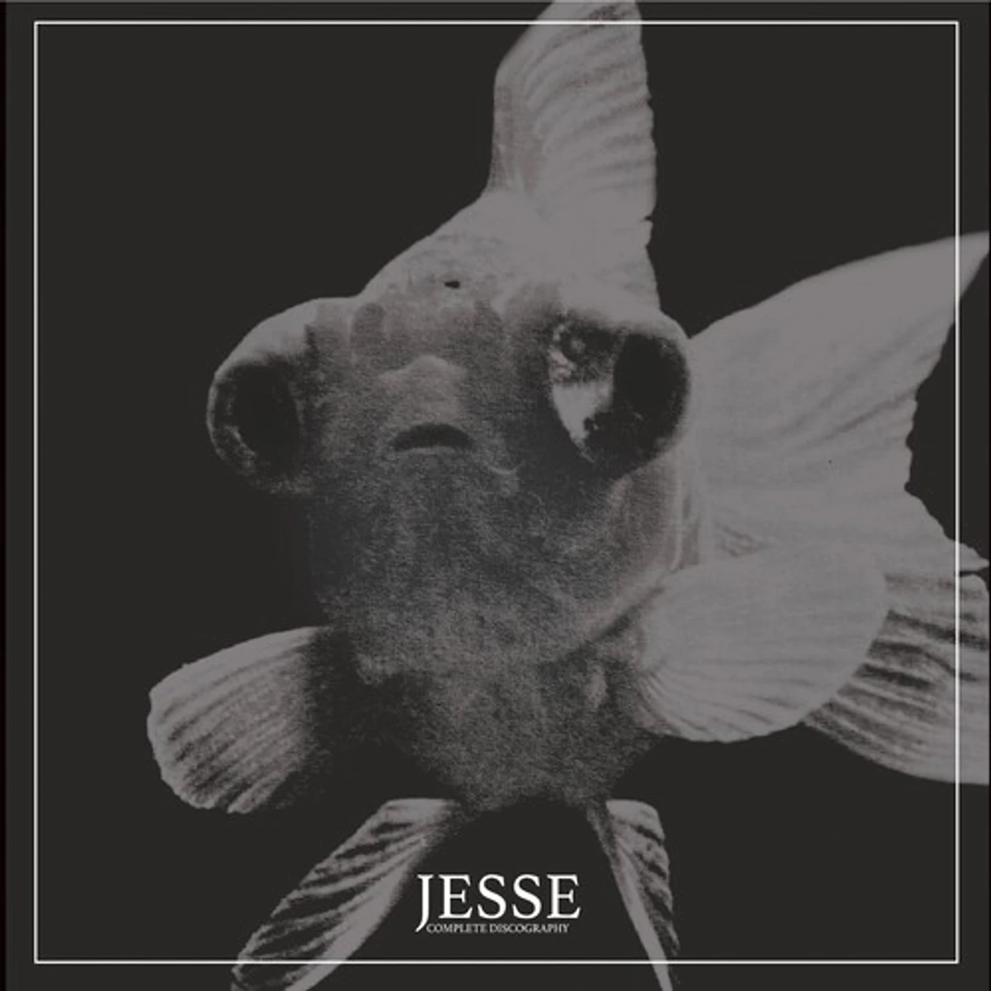 JESSE Complete Discography Vinyl Record