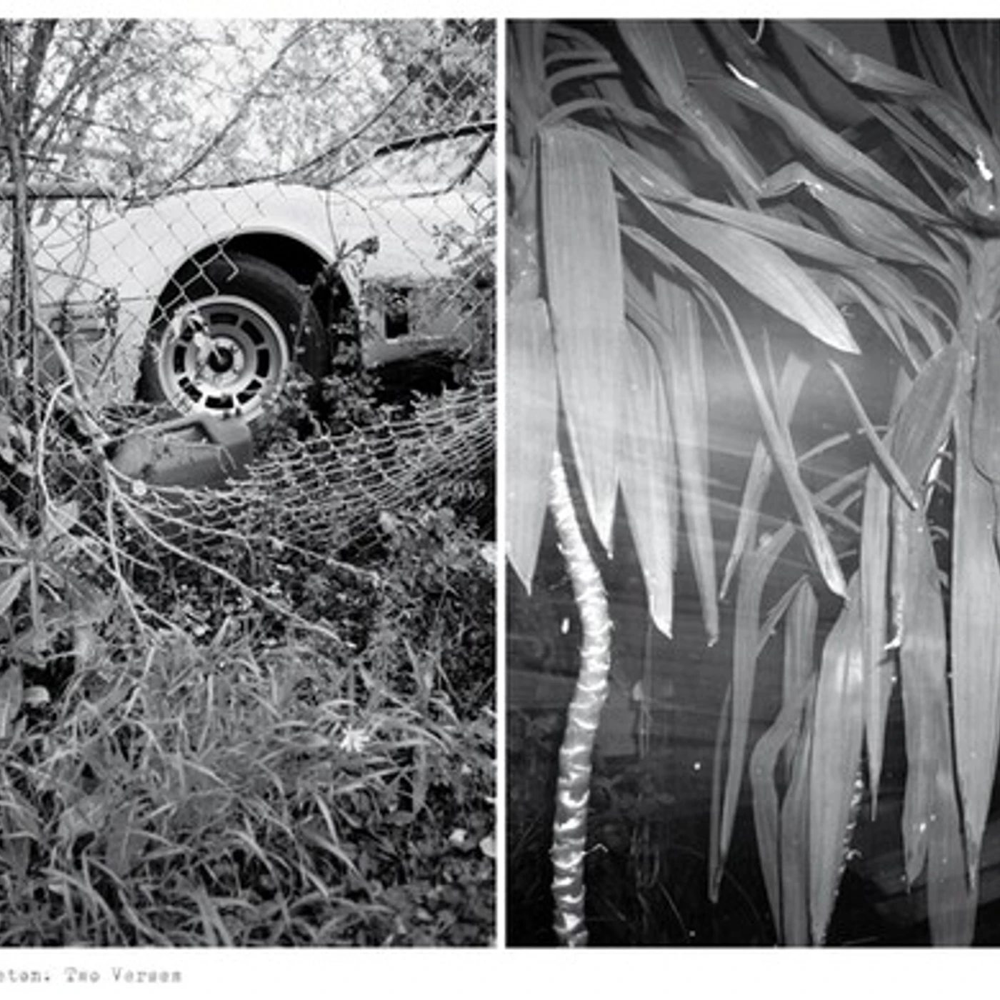 Mark Templeton TWO VERSES Vinyl Record