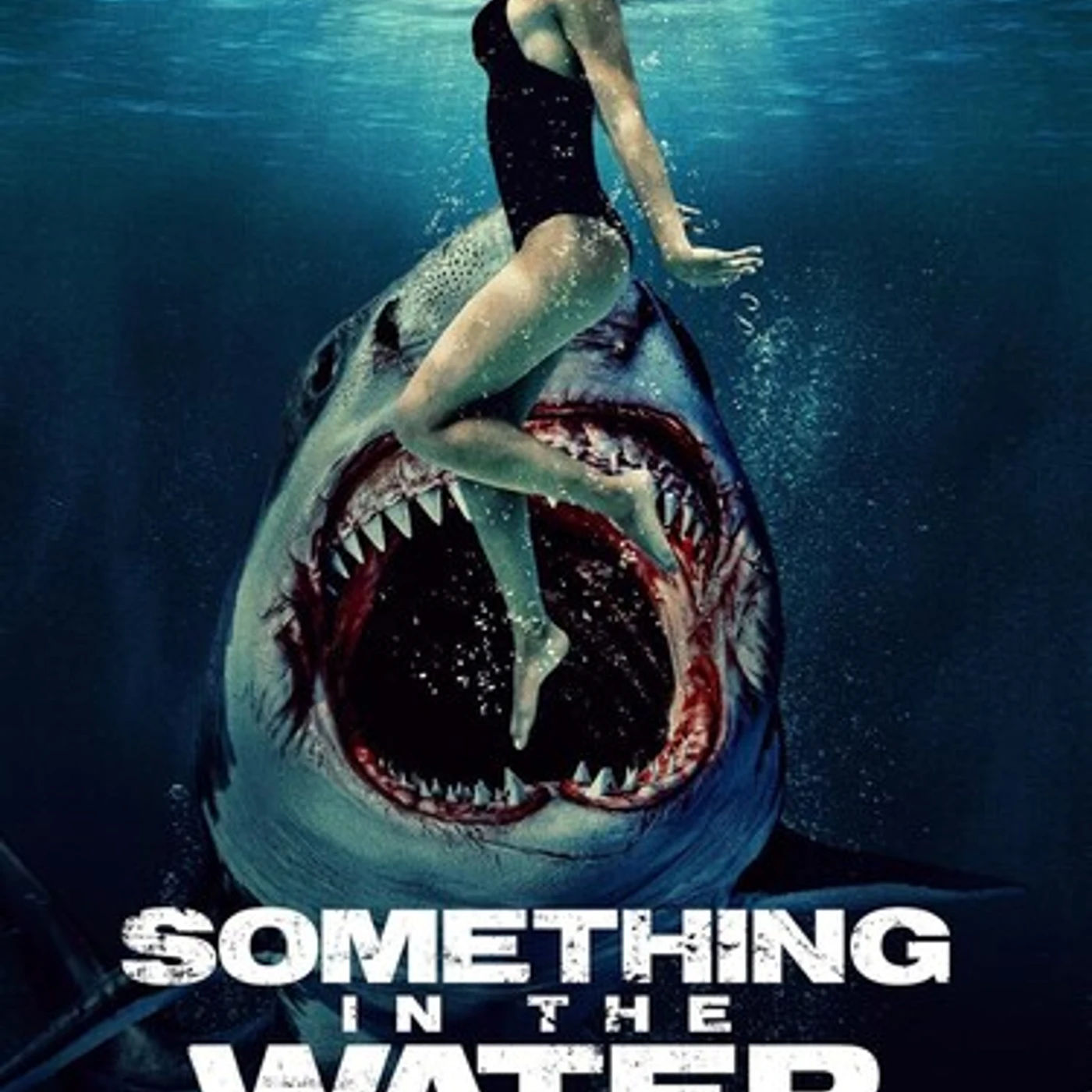 SOMETHING IN THE WATER DVD