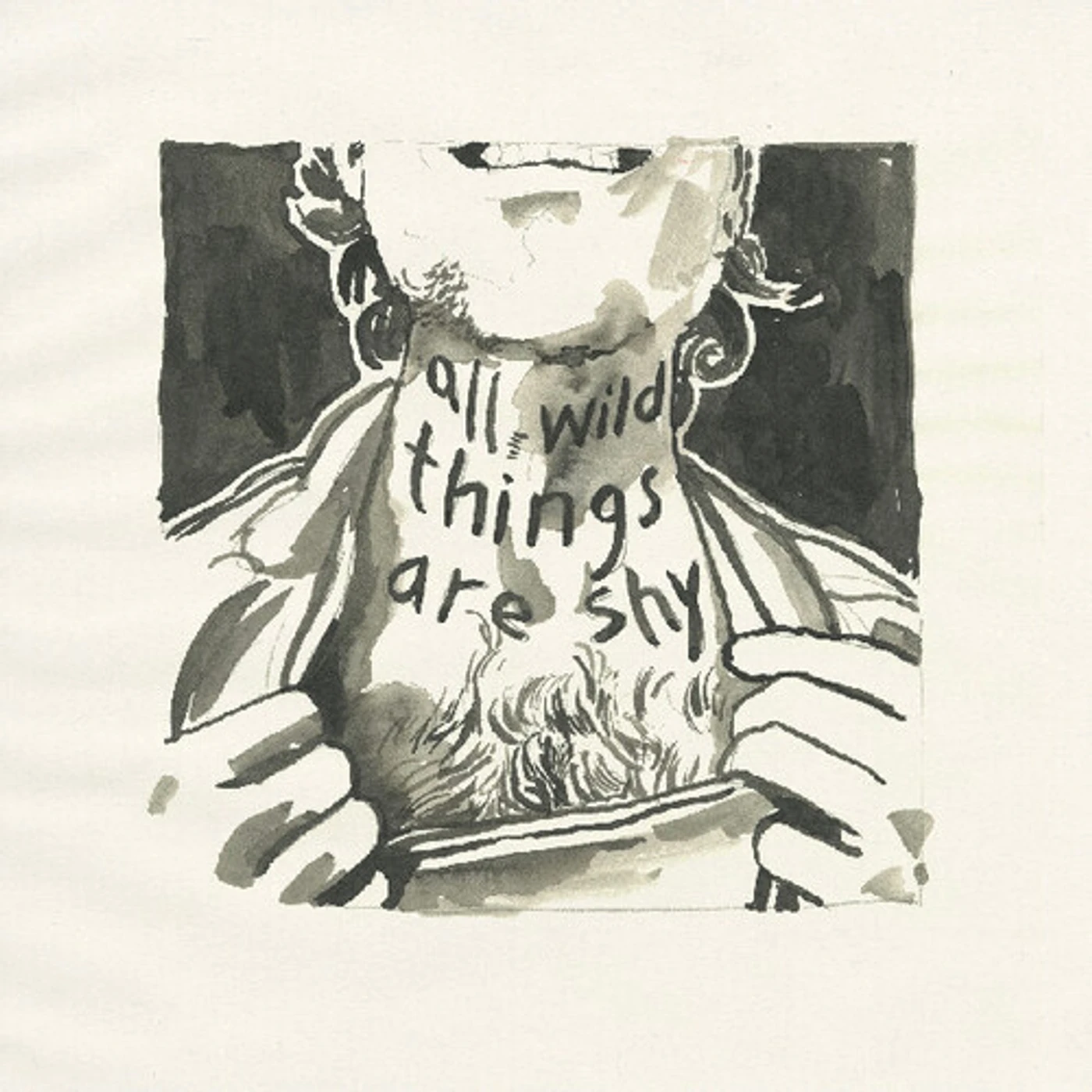 Richard Laviolette ALL WILD THINGS ARE SHY CD