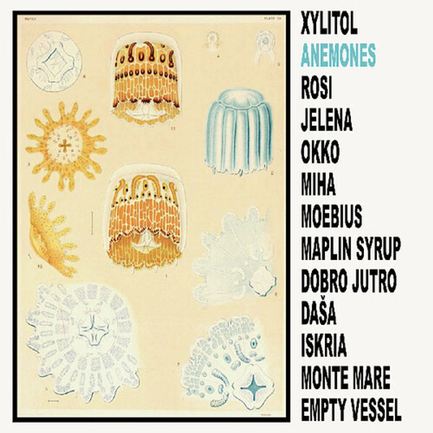 Xylitol ANEMONES Vinyl Record