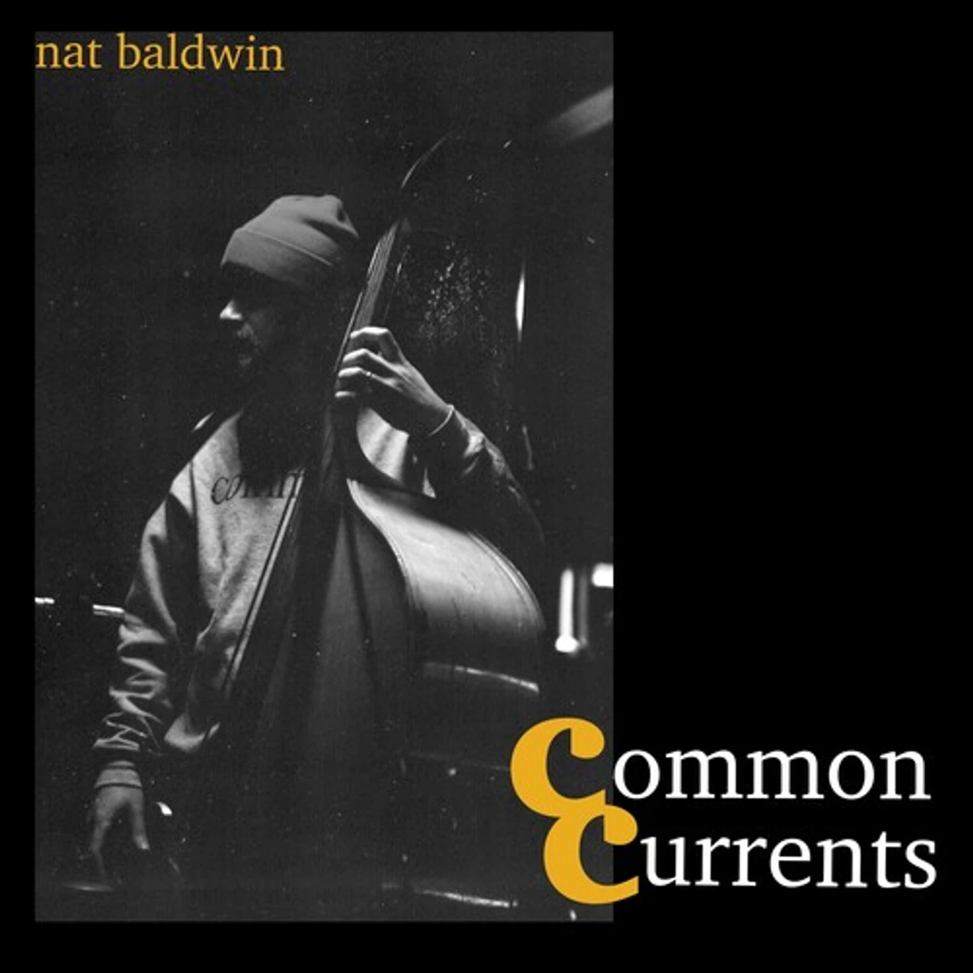 Nat Baldwin COMMON CURRENTS CD