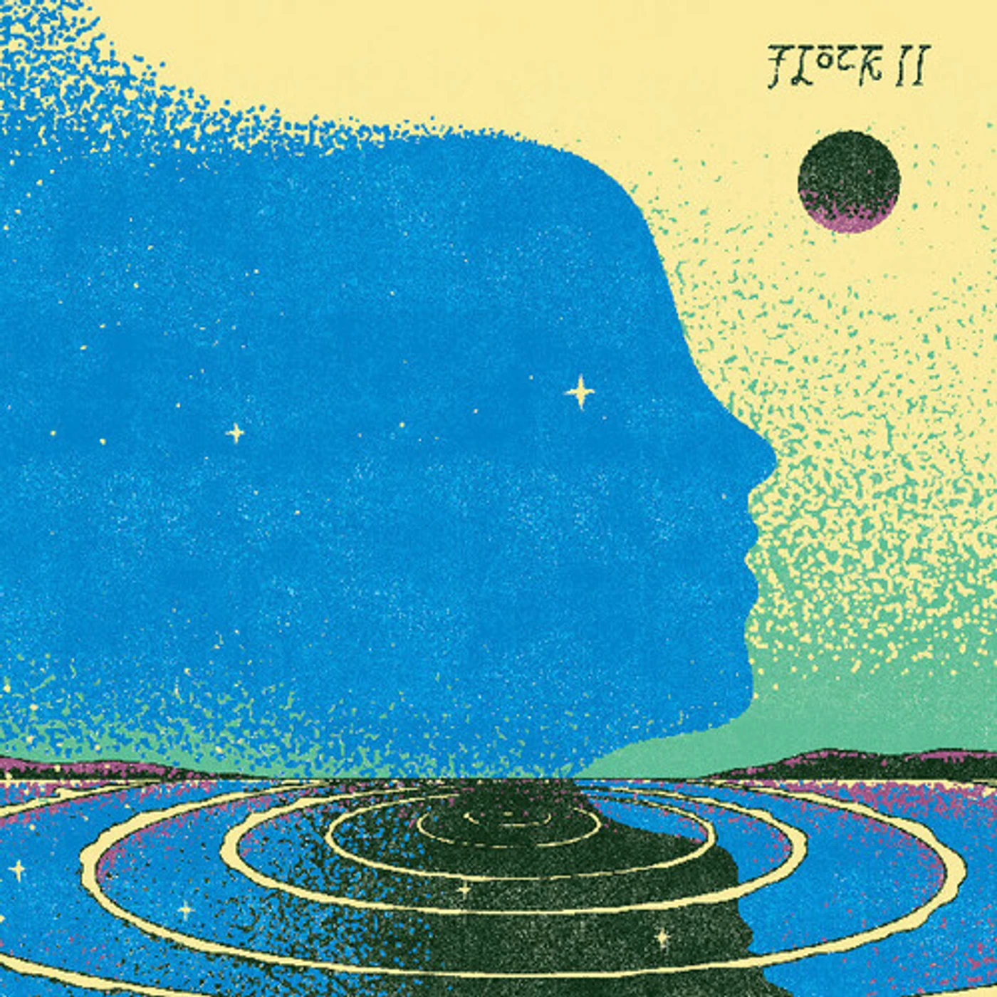 FLOCK II Vinyl Record