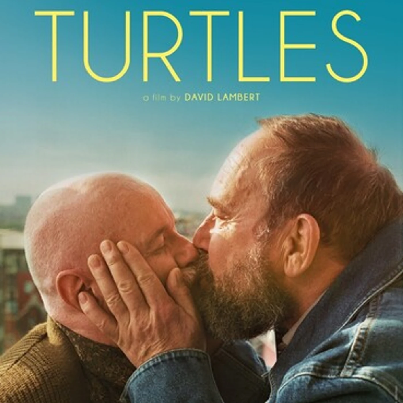 The Turtles DVD