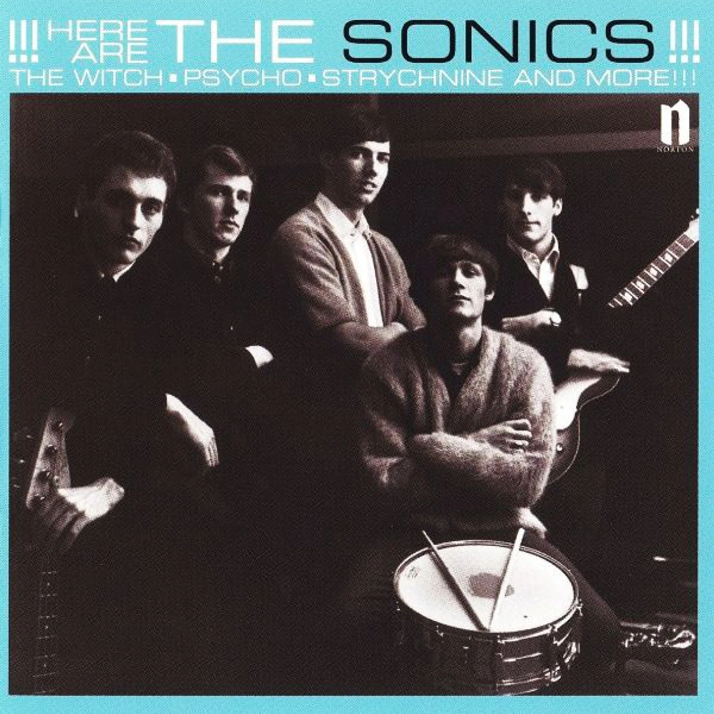 HERE ARE THE SONICS Vinyl Record