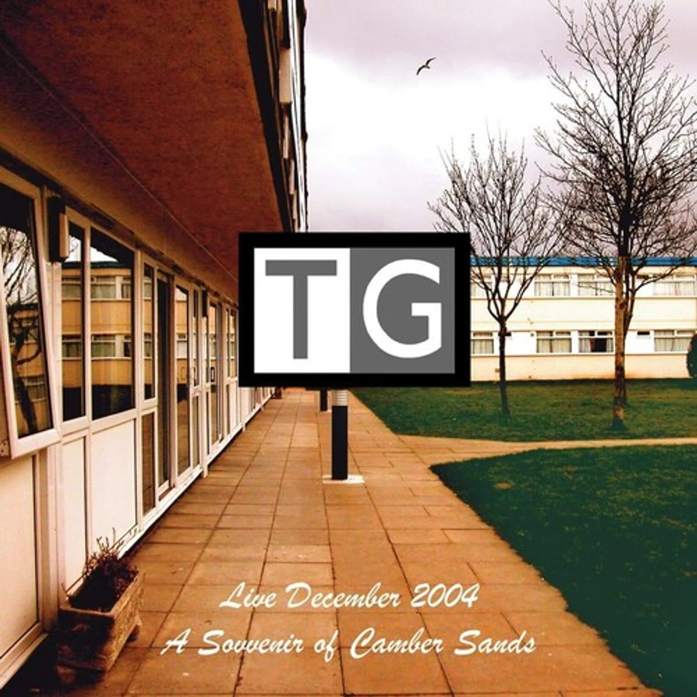 Throbbing Gristle SOUVENIR OF CAMBER SANDS Vinyl Record