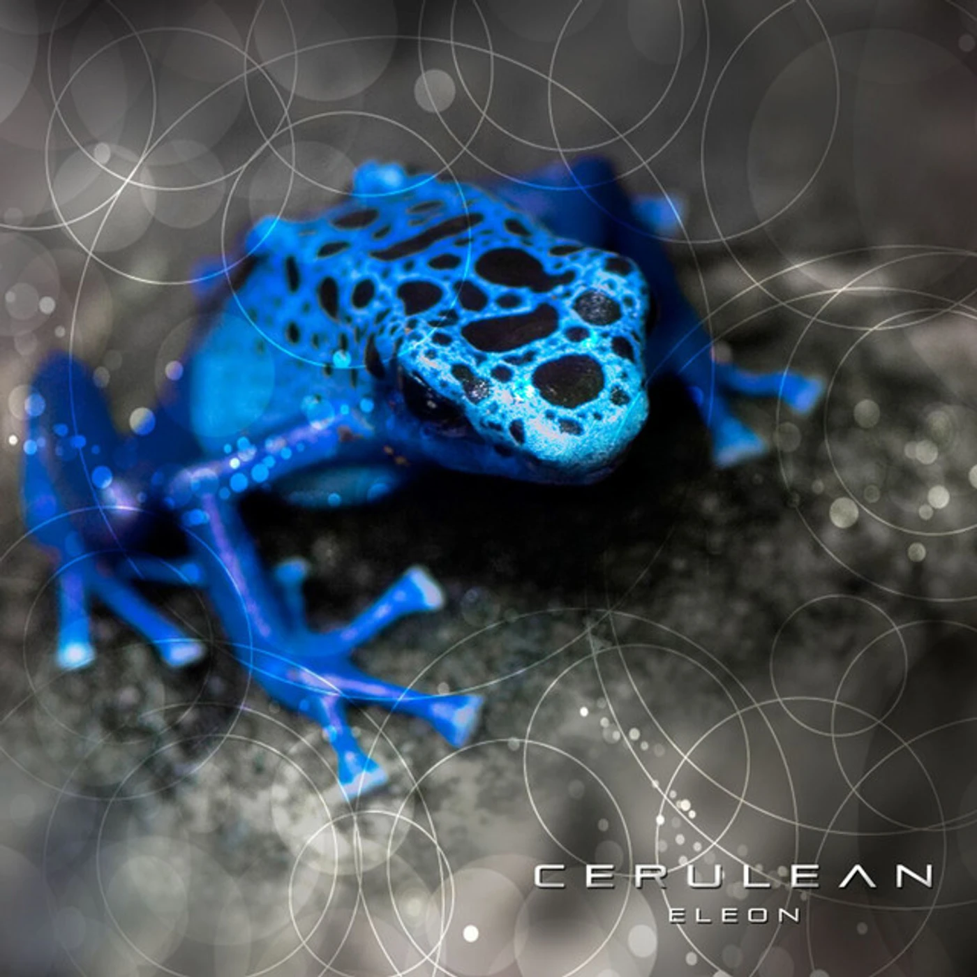 ELEON CERULEAN CD