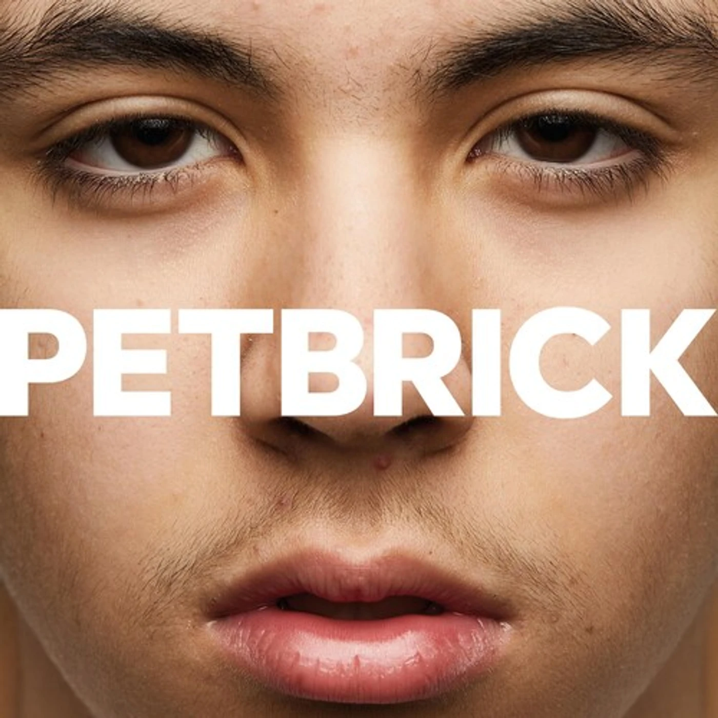 Petbrick I Vinyl Record