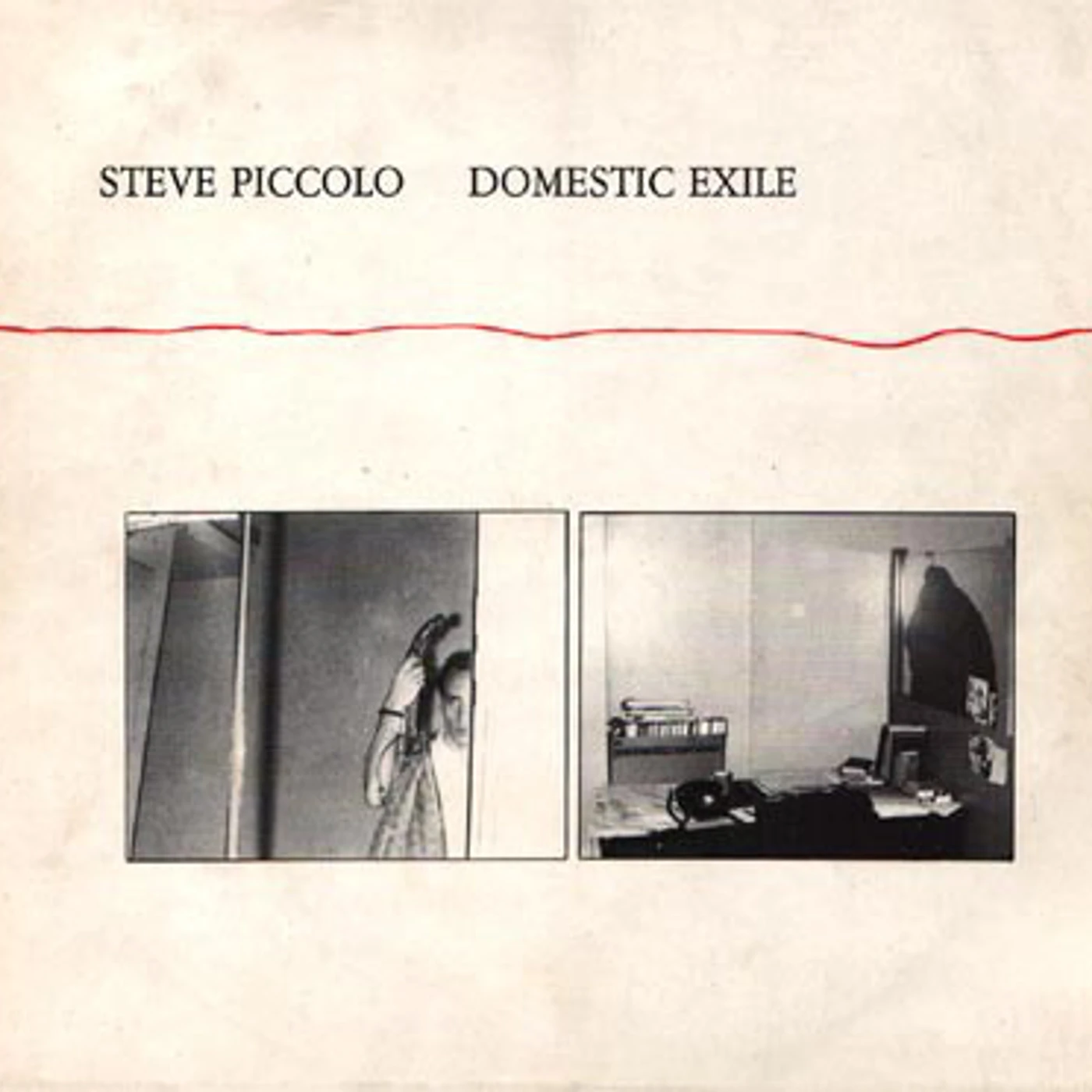 Steve Piccolo Domestic Exile Vinyl Record