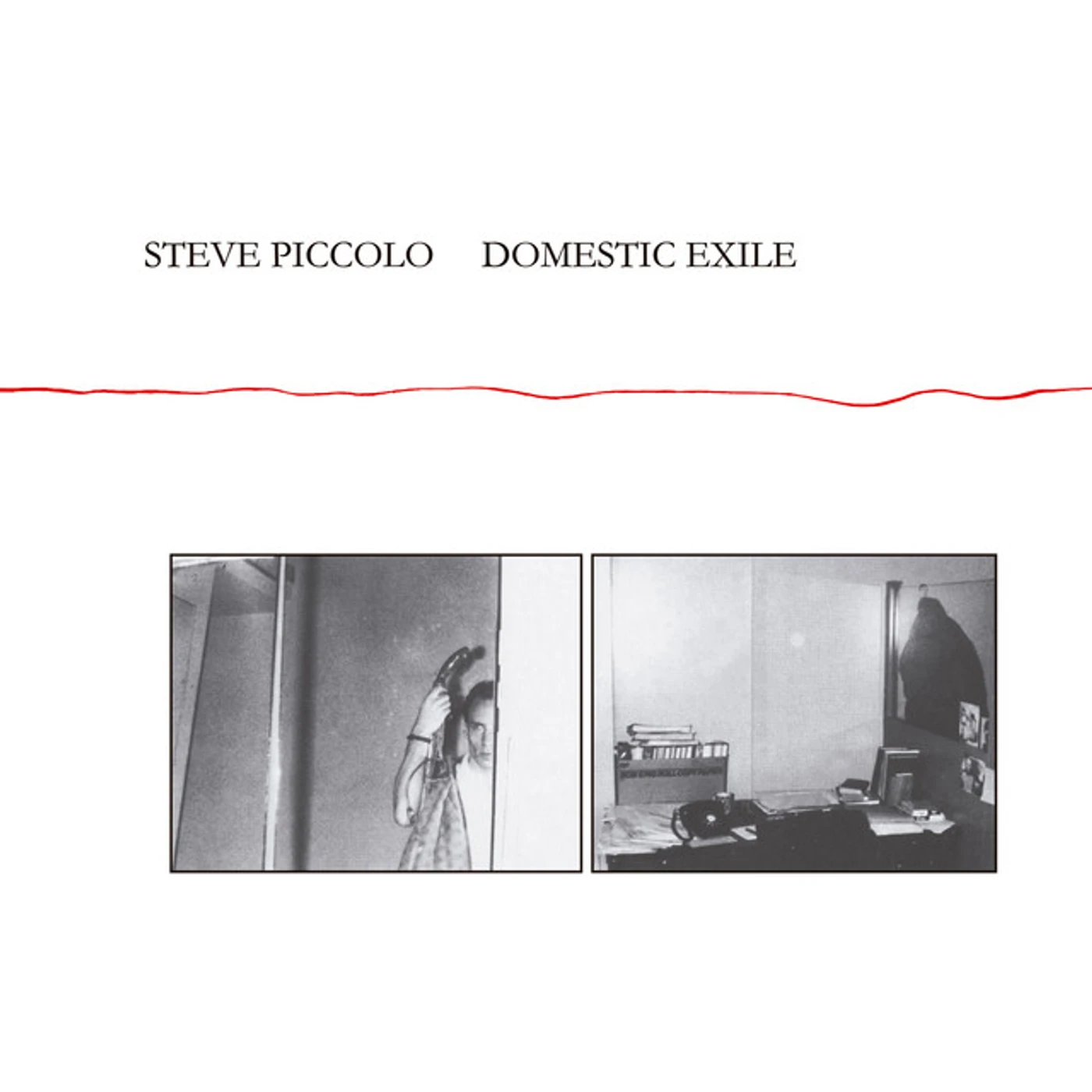 Steve Piccolo DOMESTIC EXILE CD
