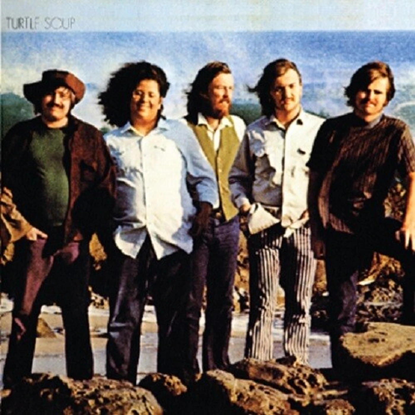 The Turtles Turtle Soup Vinyl Record