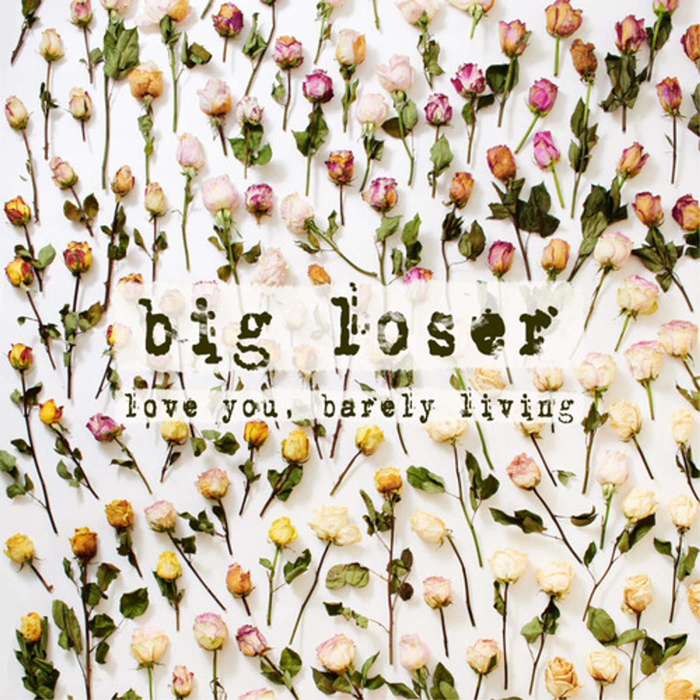 big loser LOVE YOU, BARELY LIVING CD