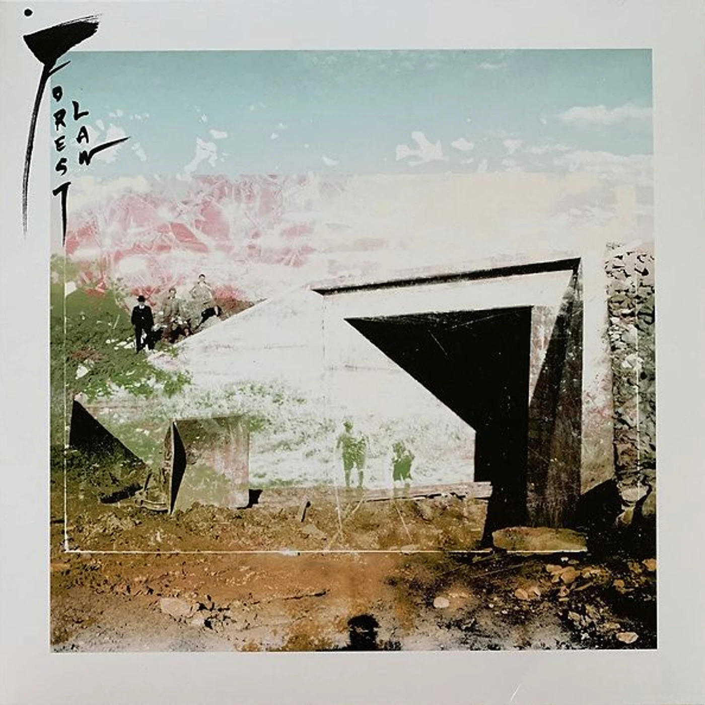 Forest Law Vinyl Record