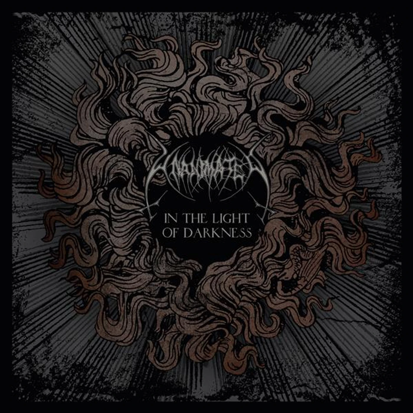 Unanimated In The Light of Darkness Vinyl Record