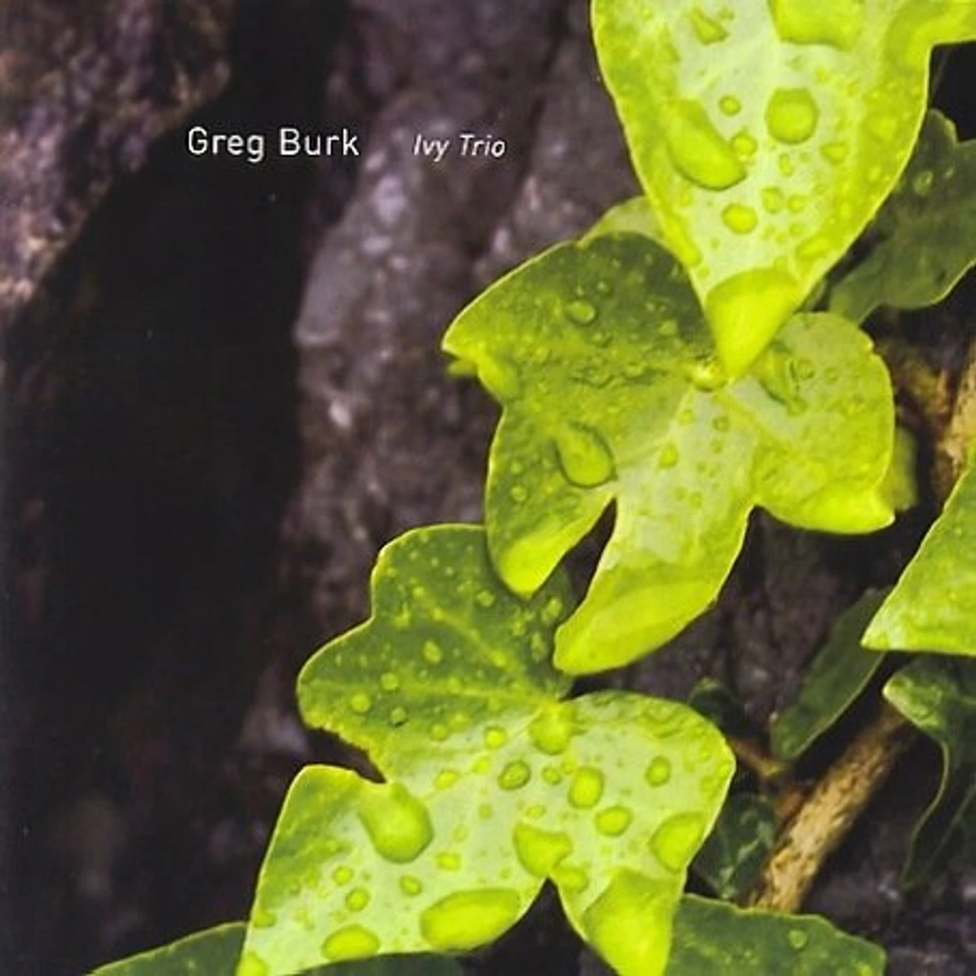 Greg Burk IVY TRIO CD
