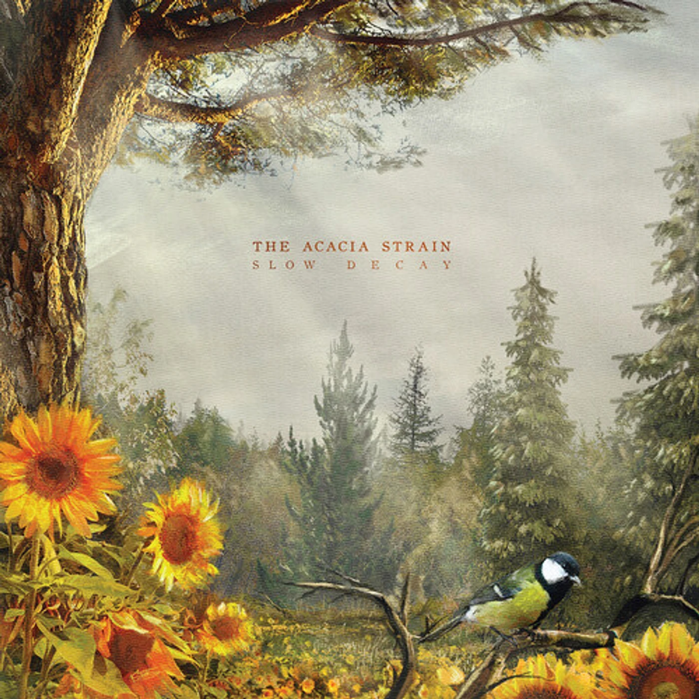 The Acacia Strain SLOW DECAY CD